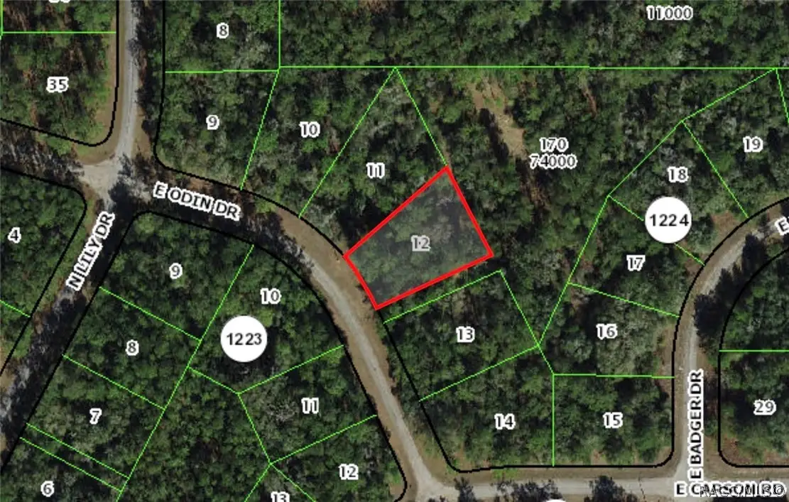 1455 E Odin Drive, Dunnellon, FL 34434 - #1