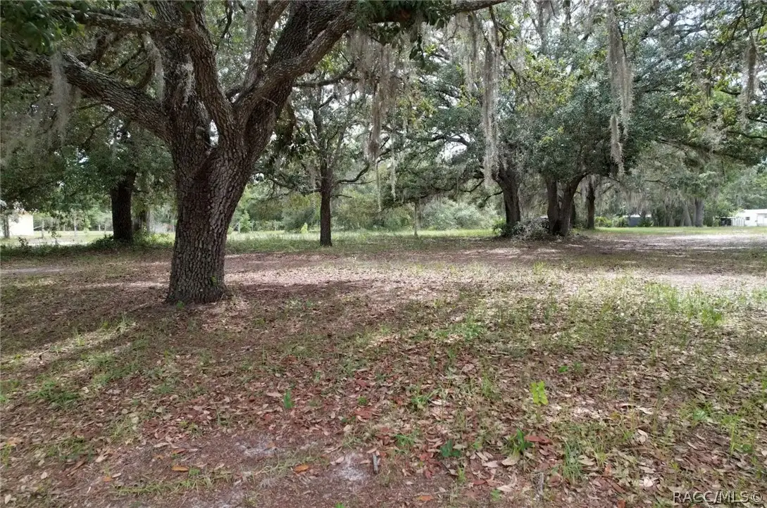 1890 S Carriage Terrace, Homosassa, FL 34448 - #1