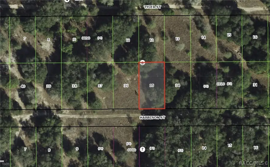 2410 Harrison Street, Inverness, FL 34453 - #2