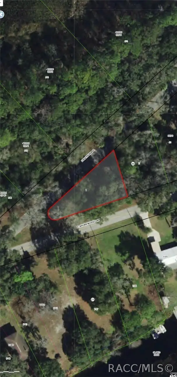 4381 E Shorewood Drive, Hernando, FL 34442 - #1
