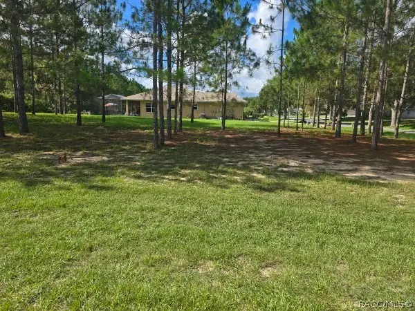 2590 N Brentwood Circle, Lecanto, FL 34461 - #2