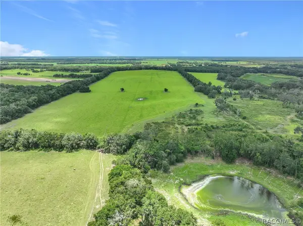 7352 SE 175th Avenue, Morriston, FL 32668