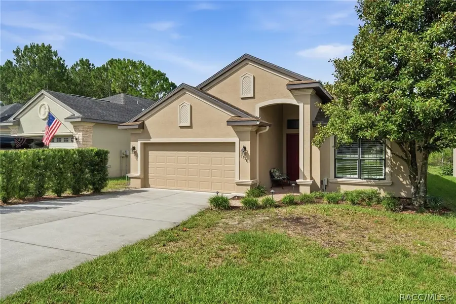 1538 W Sola Vista Path, Lecanto, FL 34461 - #3