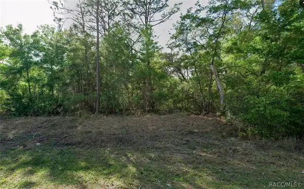 10830 N Hatari Drive, Citrus Springs, FL 34434