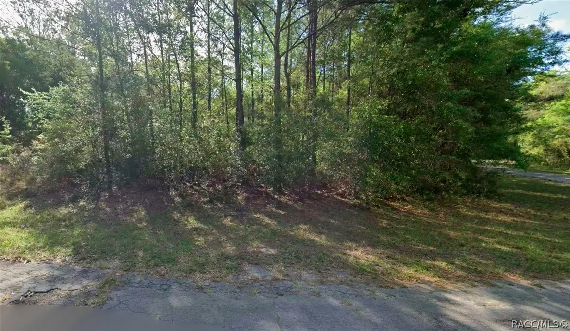 8961 N Conch Terrace, Dunnellon, FL 34434 - #1