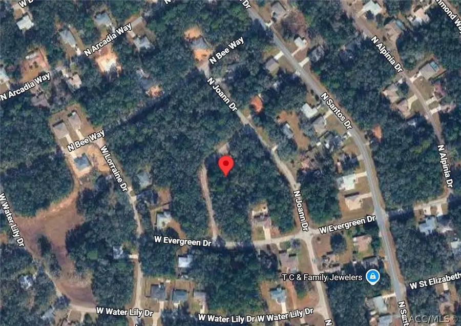 8961 N Conch Terrace, Dunnellon, FL 34434 - #3