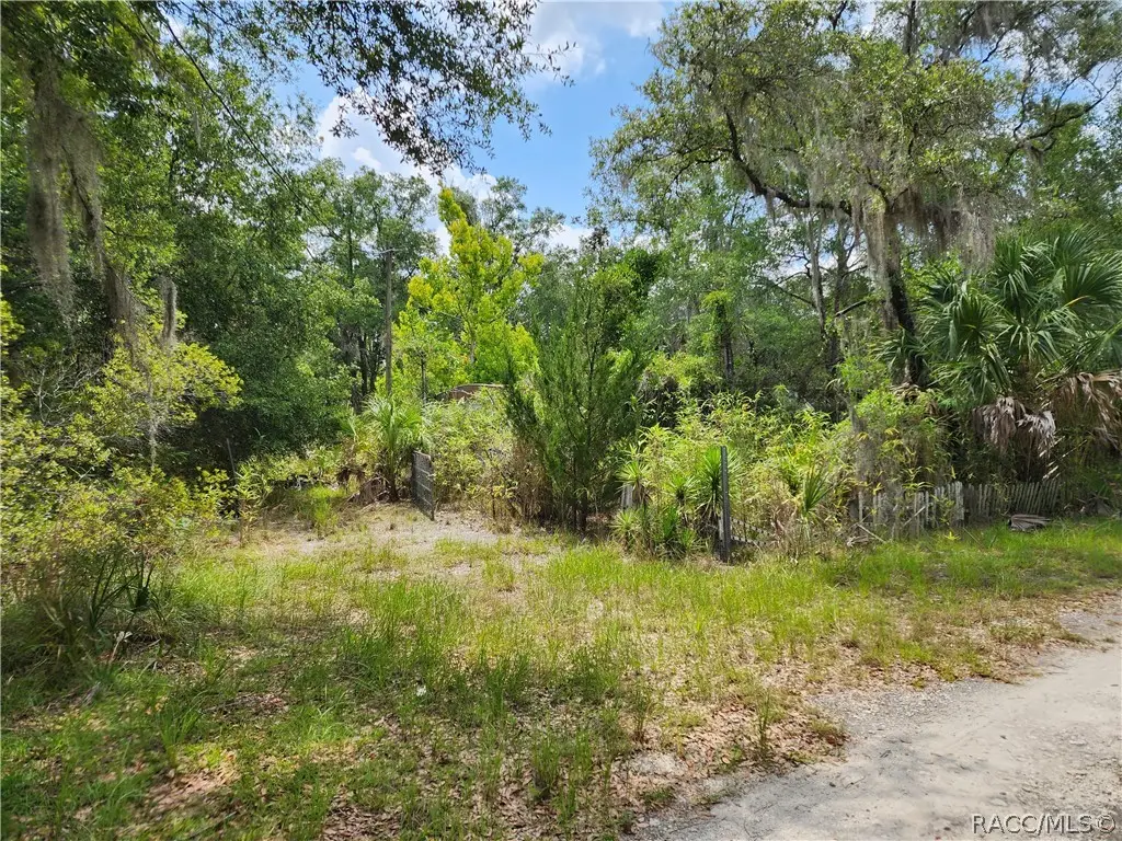 11335 N Ginny Lane Point, Inglis, FL 34449 - #1
