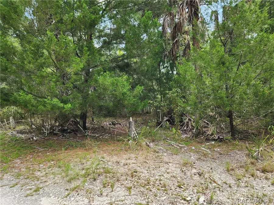 11335 N Ginny Lane Point, Inglis, FL 34449 - #3