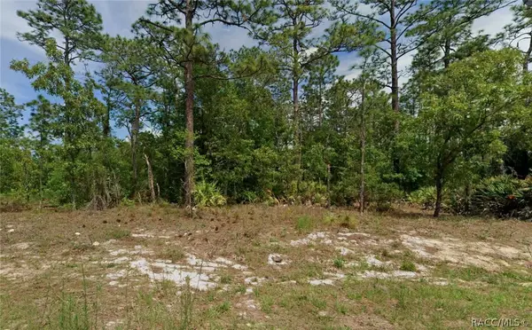 6977 N Foxdale Drive, Citrus Springs, FL 34434