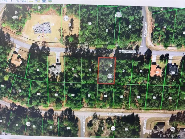 3328 W Talinum Place, Citrus Springs, FL 34433