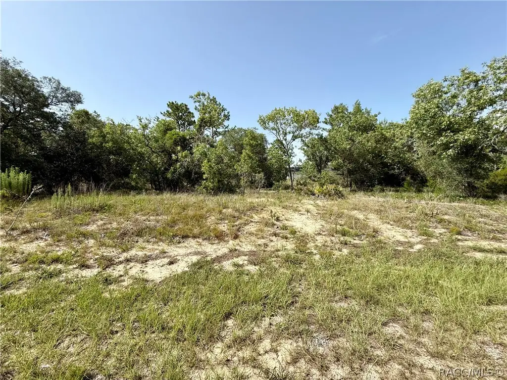 3371 W Seahorse Lane, Dunnellon, FL 34433 - #1