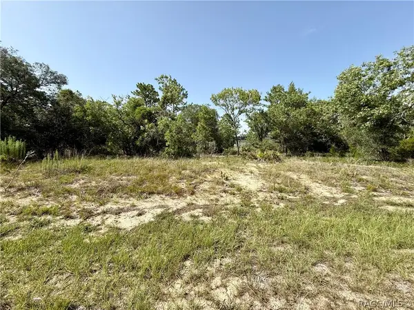 3371 W Seahorse Lane, Dunnellon, FL 34433