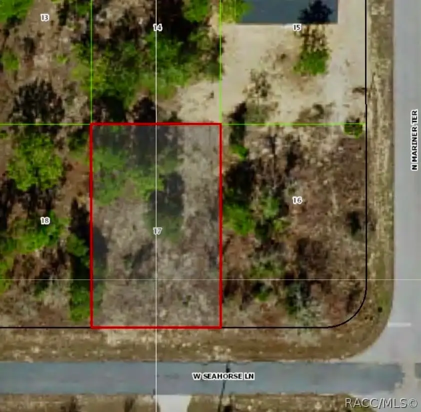 3371 W Seahorse Lane, Dunnellon, FL 34433 - #2