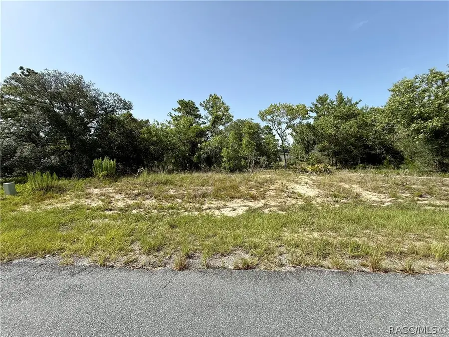 3371 W Seahorse Lane, Dunnellon, FL 34433 - #3