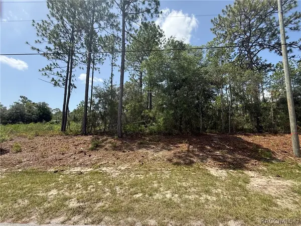 7069 N Santos Drive, Citrus Springs, FL 34434