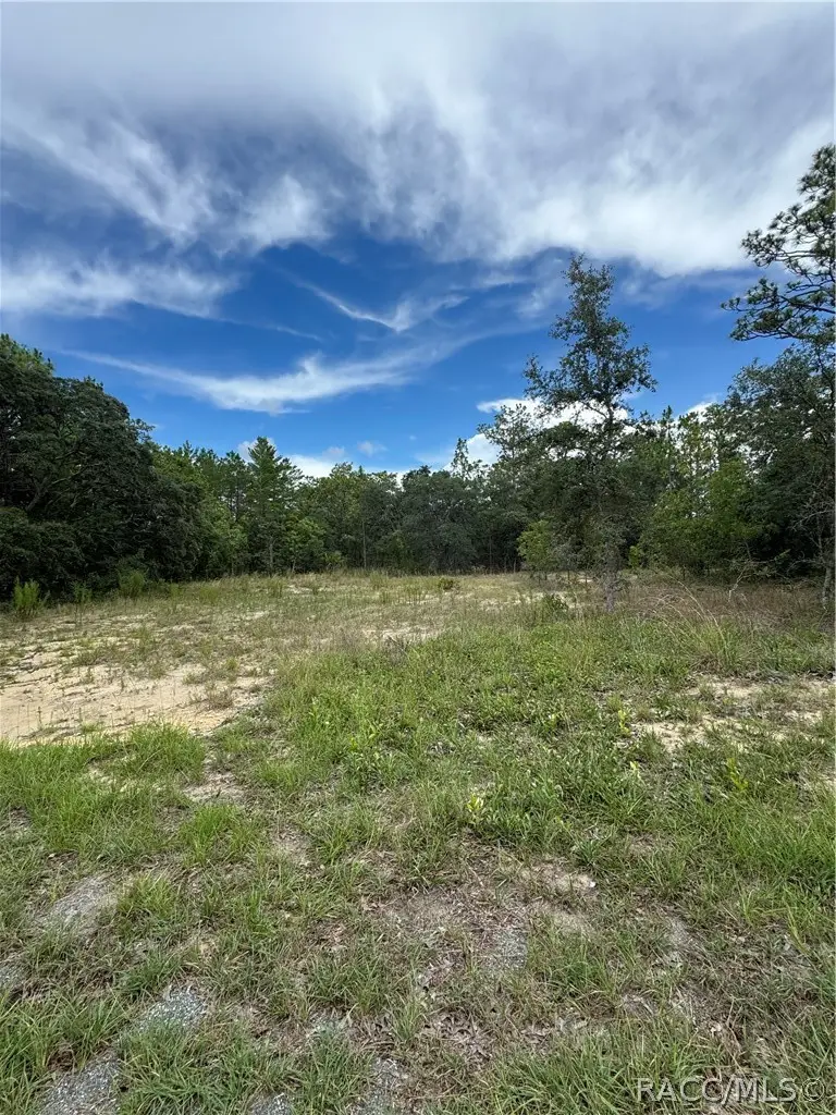 9 Hackberry Court S, Homosassa, FL 34446 - #3