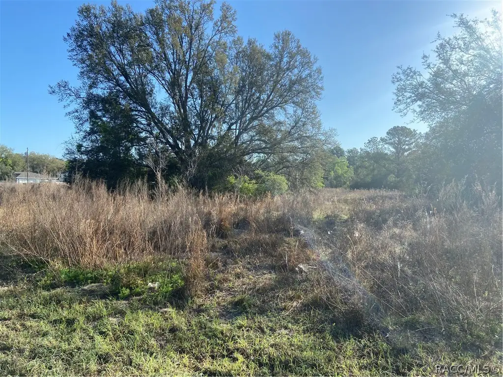 7748 & 7762 Manville Road, Dunnellon, FL 34434 - #1
