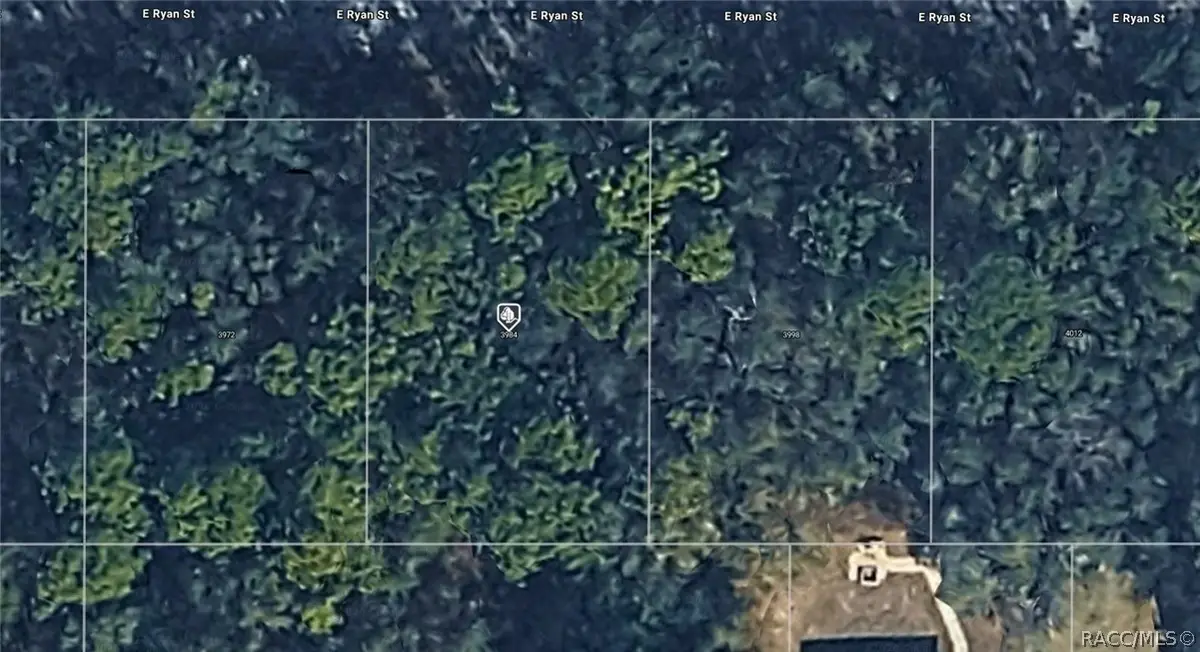 3984 E Ryan Street, Inverness, FL 34453 - #1