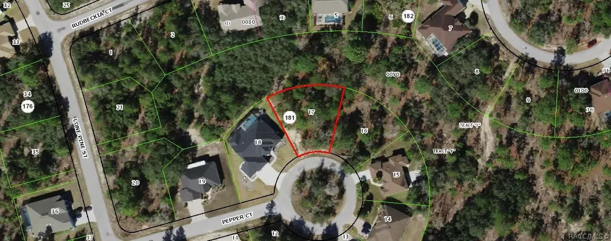 7 Pepper Court, Homosassa, FL 34446 - #1