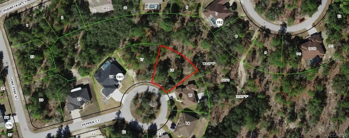 9 Pepper Court, Homosassa, FL 34446 - #1