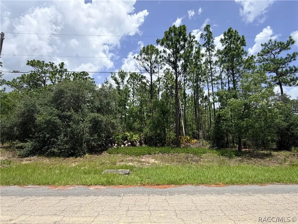 6455 W Conestoga Street, Beverly Hills, FL 34465 - #1