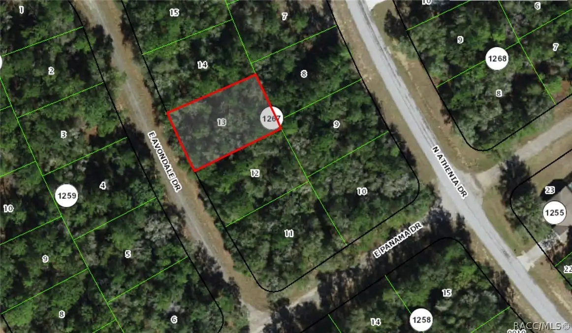 515 E Avondale Drive, Dunnellon, FL 34434 - #1