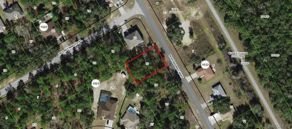8172 Merrimac Way N, Dunnellon, FL 34434