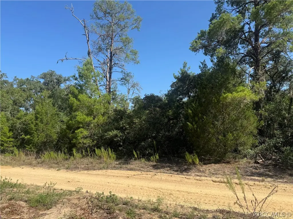 2905 Woodhill Street, Inverness, FL 34452 - #1
