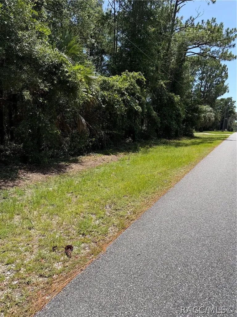 2692 W Sunrise Street, Lecanto, FL 34461 - #1