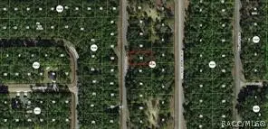 1273 E Toledo Drive, Citrus Springs, FL 34434 - #1
