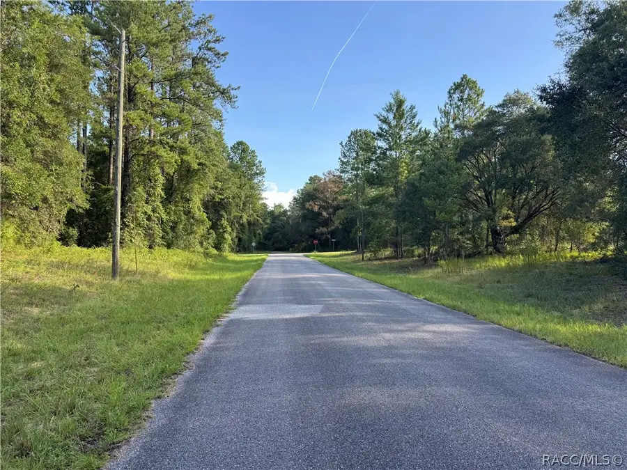1273 E Toledo Drive, Citrus Springs, FL 34434 - #2