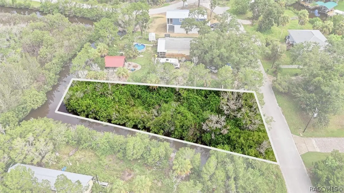 1550 S Wallace Point, Crystal River, FL 34429 - #1