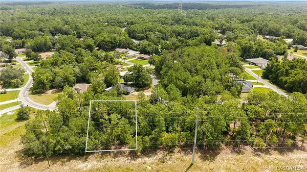 9794 N Cortlandt Drive, Citrus Springs, FL 34434