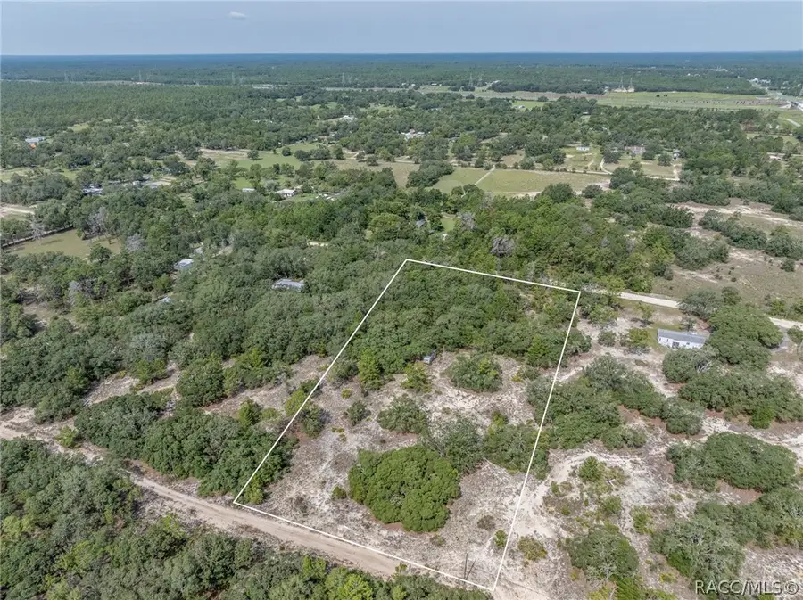 6977 S Rainbow Point, Homosassa, FL 34446 - #3