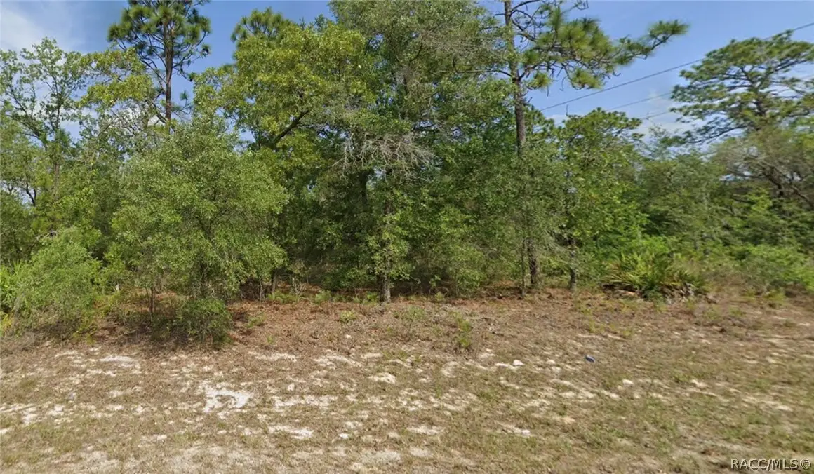 6791 N Darlington Drive, Citrus Springs, FL 34434 - #1