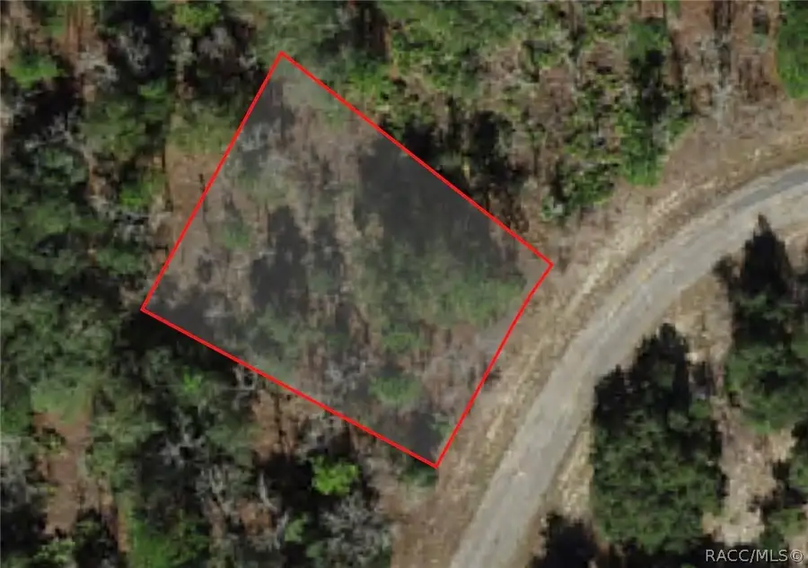 6791 N Darlington Drive, Citrus Springs, FL 34434 - #2