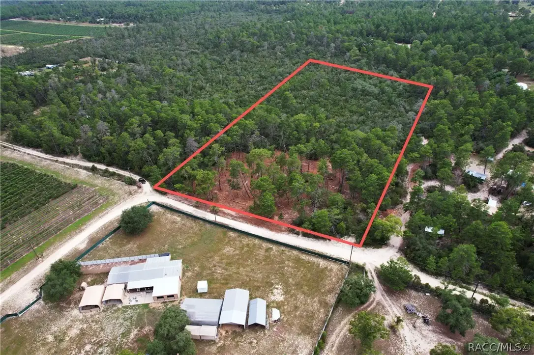 9530 N Timber Creek Terrace, Dunnellon, FL 34433 - #1