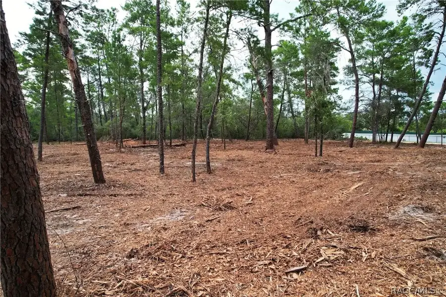 9530 N Timber Creek Terrace, Dunnellon, FL 34433 - #2