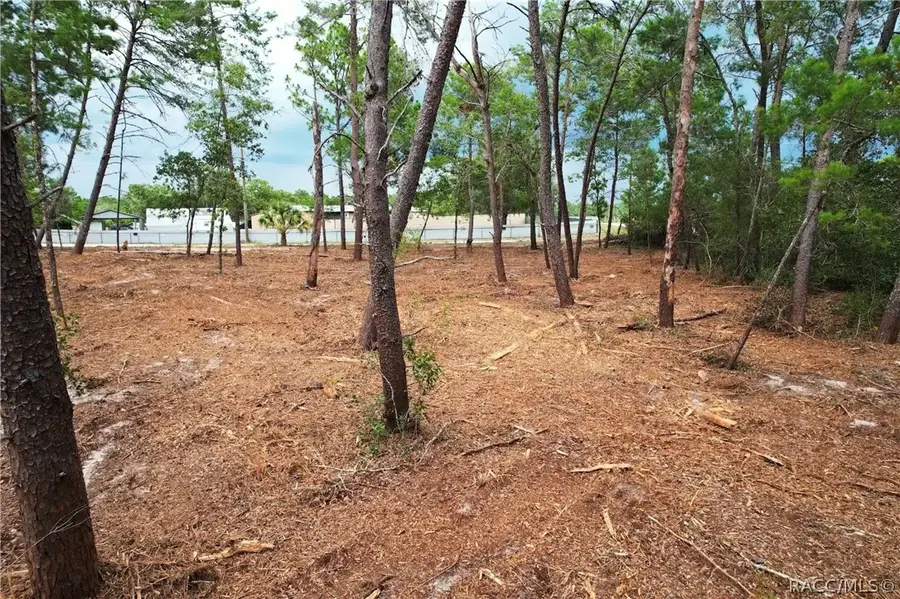 9530 N Timber Creek Terrace, Dunnellon, FL 34433 - #3