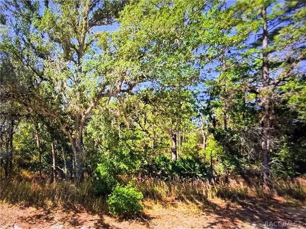 2722 W Pine Ridge Boulevard, Beverly Hills, FL 34465