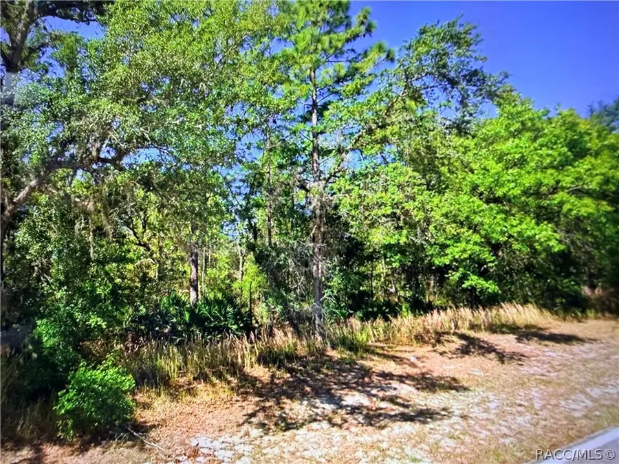 2722 W Pine Ridge Boulevard, Beverly Hills, FL 34465 - #3