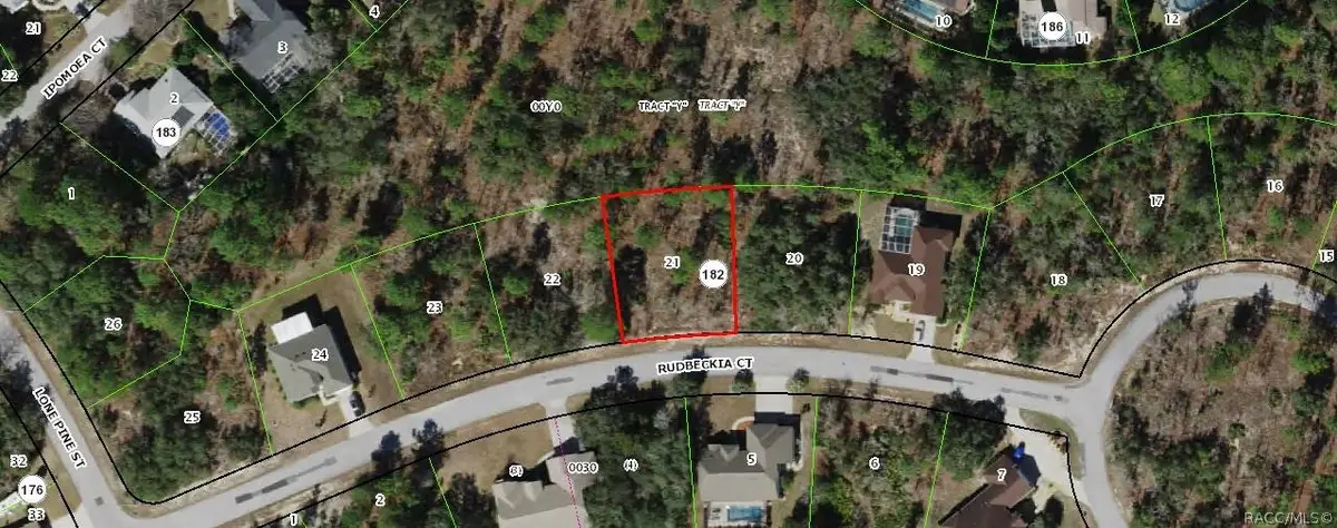 9 Rudbeckia Court, Homosassa, FL 34446 - #1