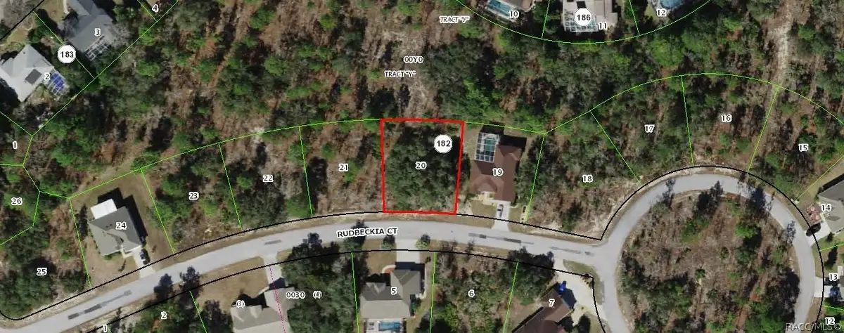 11 Rudbeckia Court, Homosassa, FL 34446 - #1