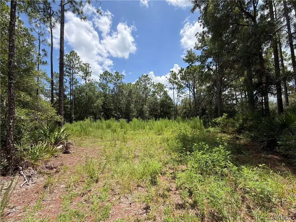6712 W Macopin Lane, Crystal River, FL 34429 - #1
