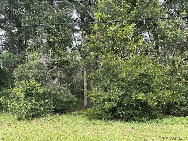 1235 E Bismark Street, Hernando, FL 34442