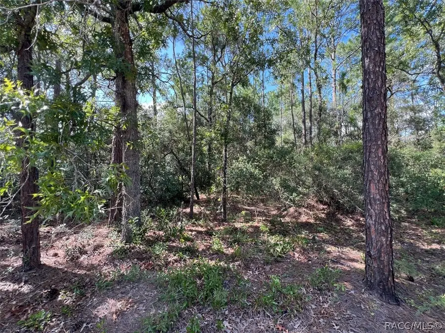 0 SW 157th Lane, Dunnellon, FL 34432 - #3