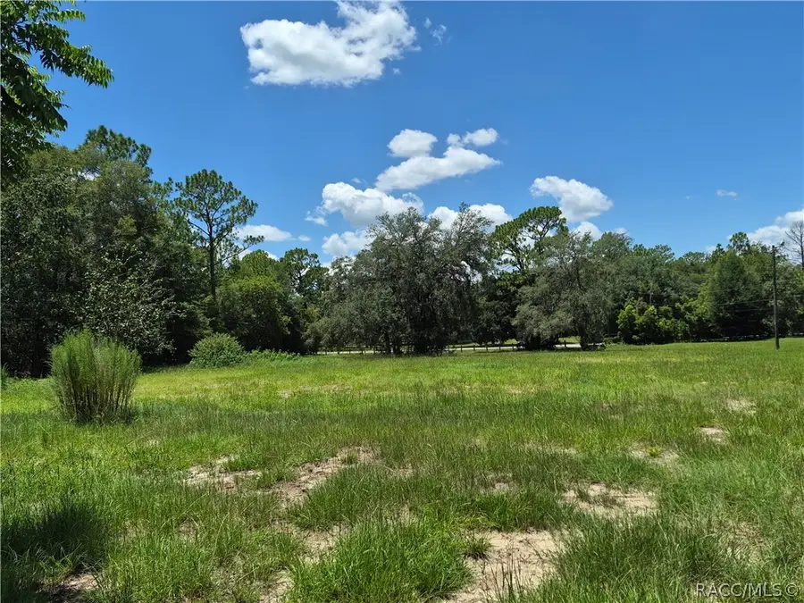 2185 SW 186th Court, Dunnellon, FL 34432 - #3