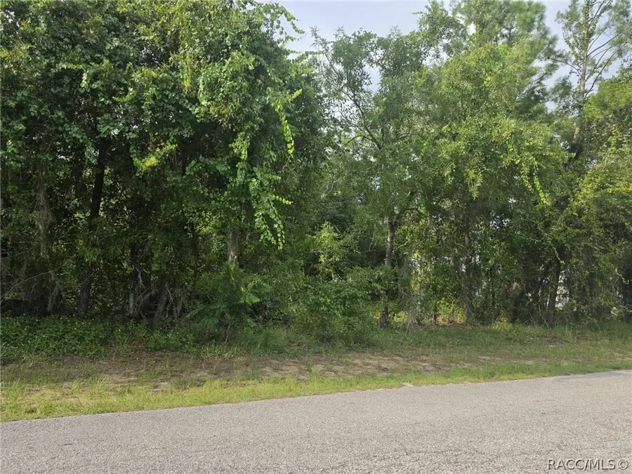 1567 E Cleveland Street, Hernando, FL 34442 - #2