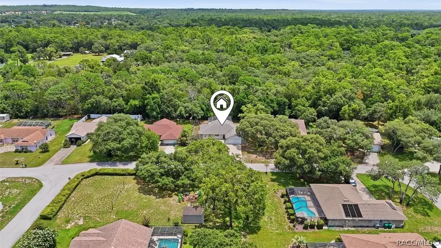 4179 S Winding Oaks Drive, Homosassa, FL 34446 - #3