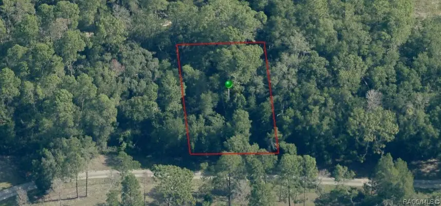 2801 Kerry Street, Inverness, FL 34452 - #1